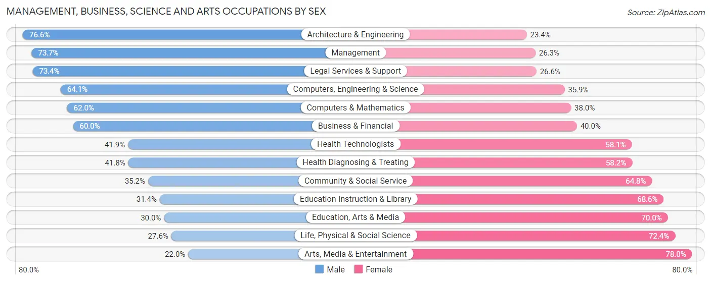 Management, Business, Science and Arts Occupations by Sex in Zip Code 49301