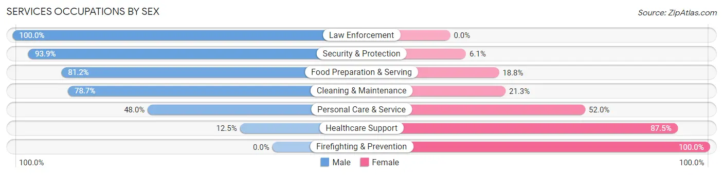 Services Occupations by Sex in Zip Code 49304