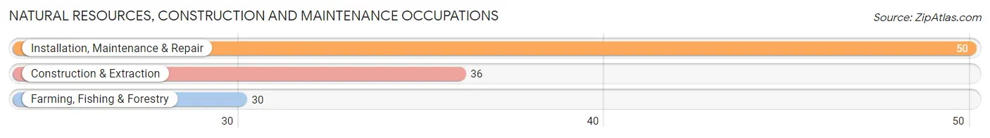 Natural Resources, Construction and Maintenance Occupations in Zip Code 49305