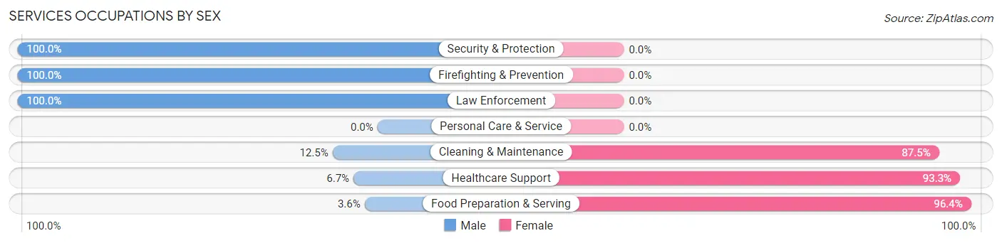 Services Occupations by Sex in Zip Code 49305