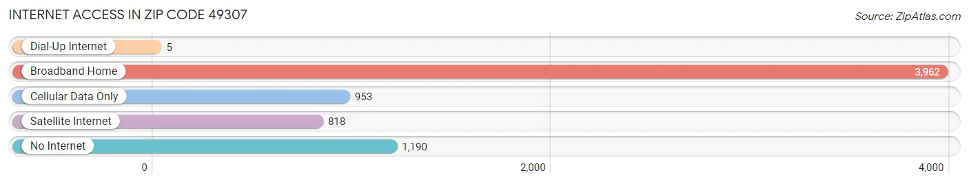 Internet Access in Zip Code 49307