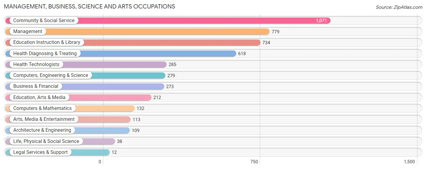 Management, Business, Science and Arts Occupations in Zip Code 49307