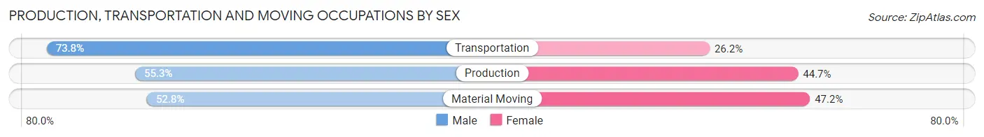Production, Transportation and Moving Occupations by Sex in Zip Code 49309