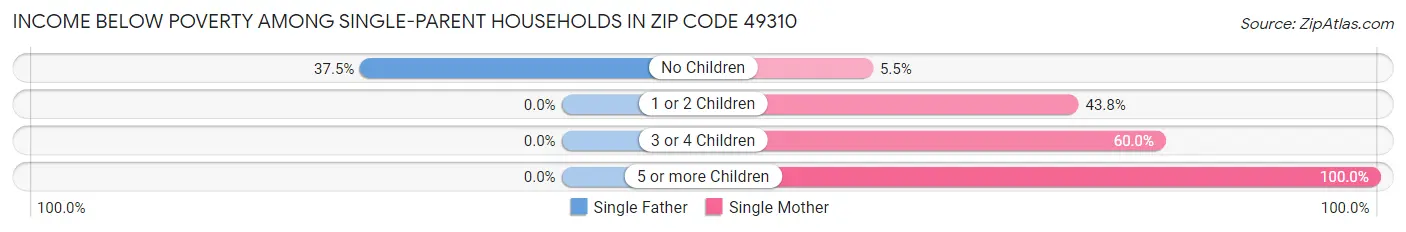 Income Below Poverty Among Single-Parent Households in Zip Code 49310