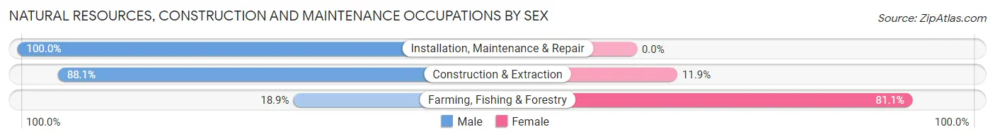 Natural Resources, Construction and Maintenance Occupations by Sex in Zip Code 49310