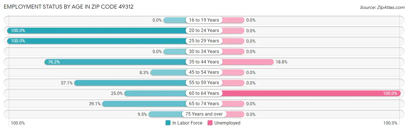 Employment Status by Age in Zip Code 49312
