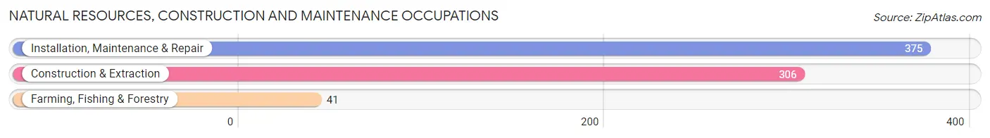 Natural Resources, Construction and Maintenance Occupations in Zip Code 49315