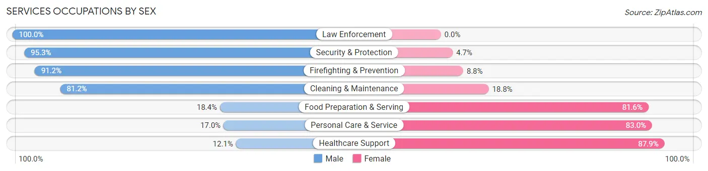 Services Occupations by Sex in Zip Code 49316