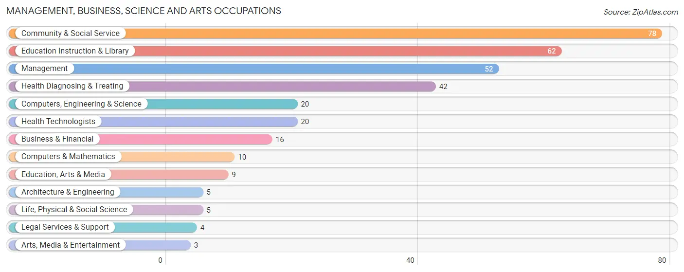 Management, Business, Science and Arts Occupations in Zip Code 49318