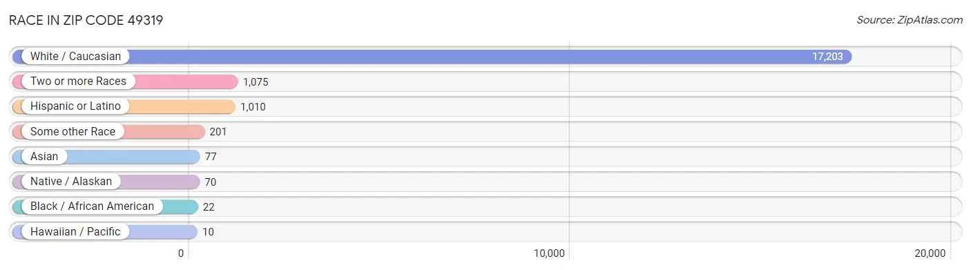 Race in Zip Code 49319