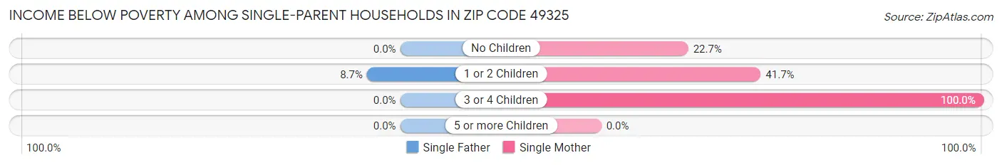 Income Below Poverty Among Single-Parent Households in Zip Code 49325