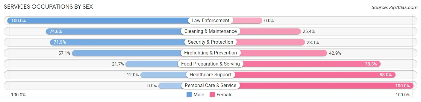 Services Occupations by Sex in Zip Code 49327