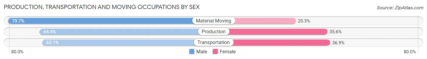 Production, Transportation and Moving Occupations by Sex in Zip Code 49329