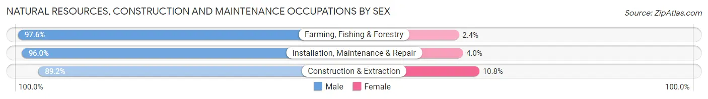 Natural Resources, Construction and Maintenance Occupations by Sex in Zip Code 49330