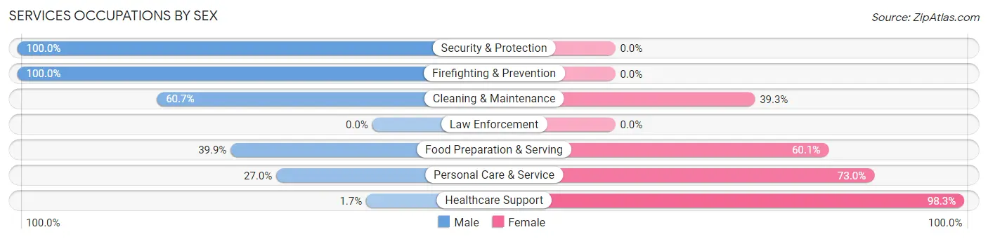 Services Occupations by Sex in Zip Code 49330