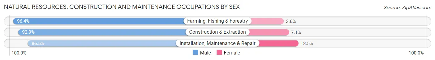 Natural Resources, Construction and Maintenance Occupations by Sex in Zip Code 49331