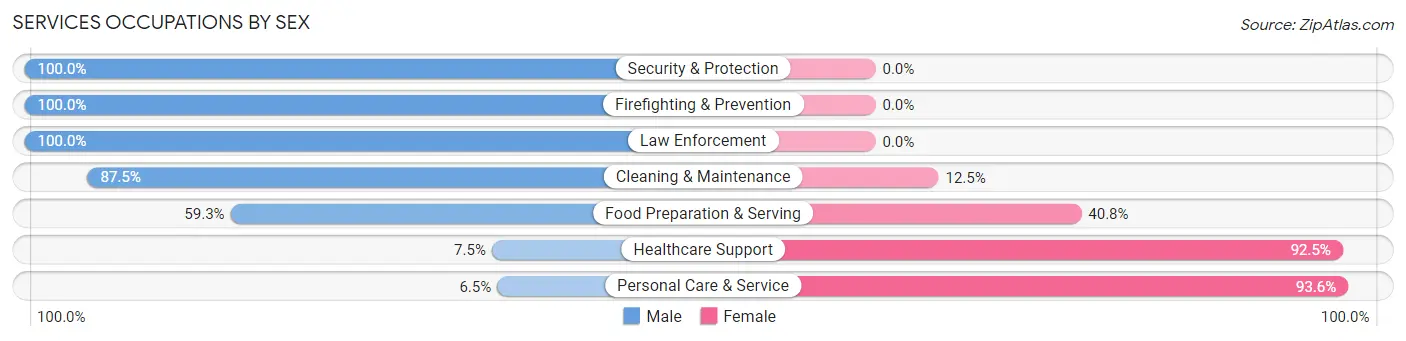 Services Occupations by Sex in Zip Code 49331