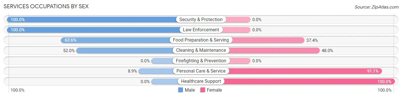 Services Occupations by Sex in Zip Code 49333
