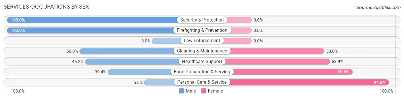 Services Occupations by Sex in Zip Code 49338