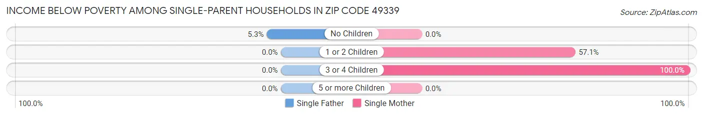Income Below Poverty Among Single-Parent Households in Zip Code 49339