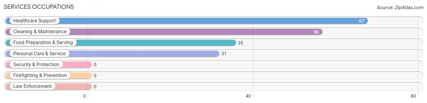 Services Occupations in Zip Code 49339