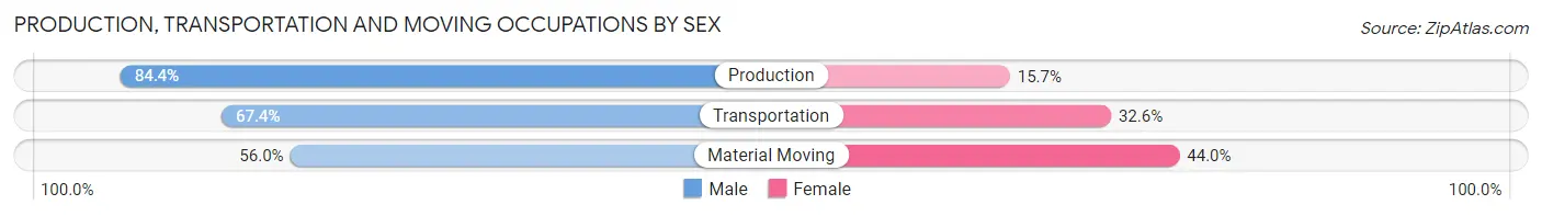 Production, Transportation and Moving Occupations by Sex in Zip Code 49340