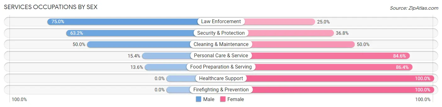 Services Occupations by Sex in Zip Code 49340