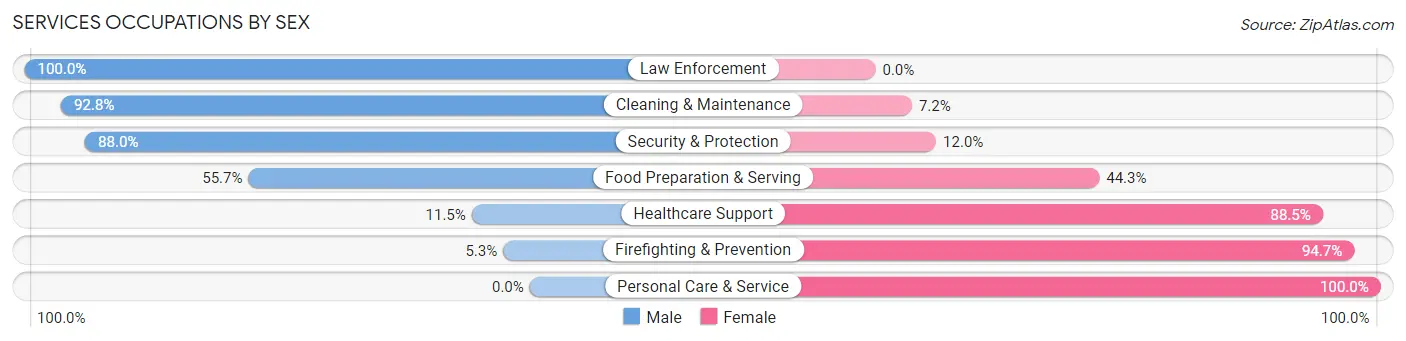 Services Occupations by Sex in Zip Code 49343
