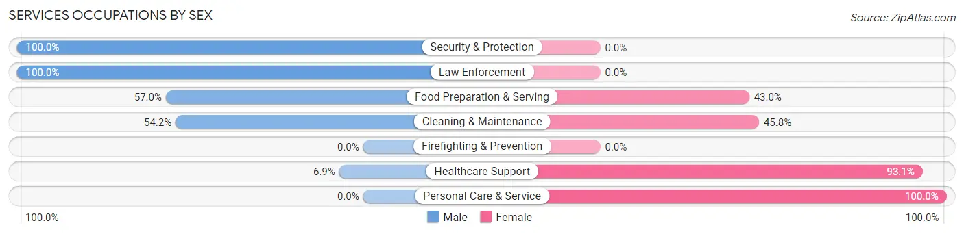 Services Occupations by Sex in Zip Code 49344