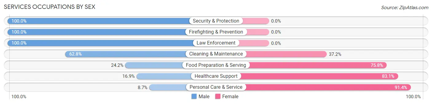 Services Occupations by Sex in Zip Code 49345