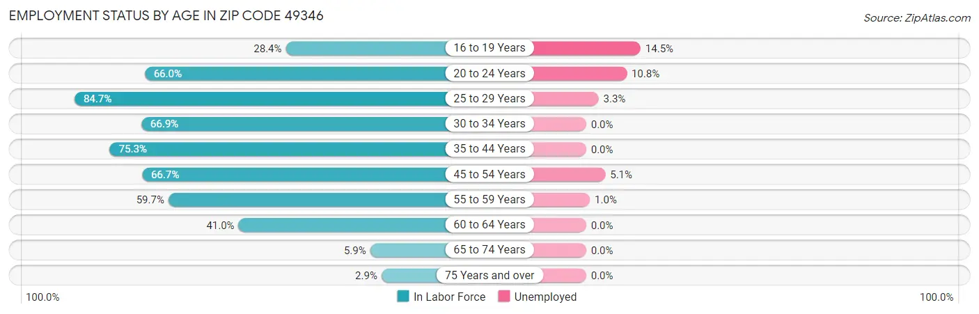 Employment Status by Age in Zip Code 49346
