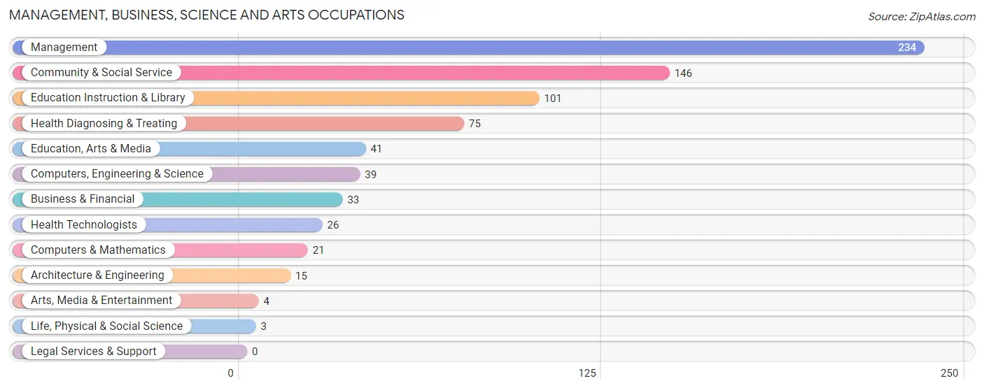 Management, Business, Science and Arts Occupations in Zip Code 49346