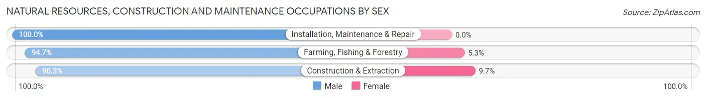 Natural Resources, Construction and Maintenance Occupations by Sex in Zip Code 49410