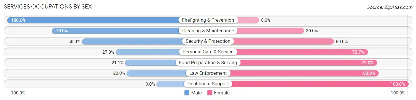 Services Occupations by Sex in Zip Code 49410