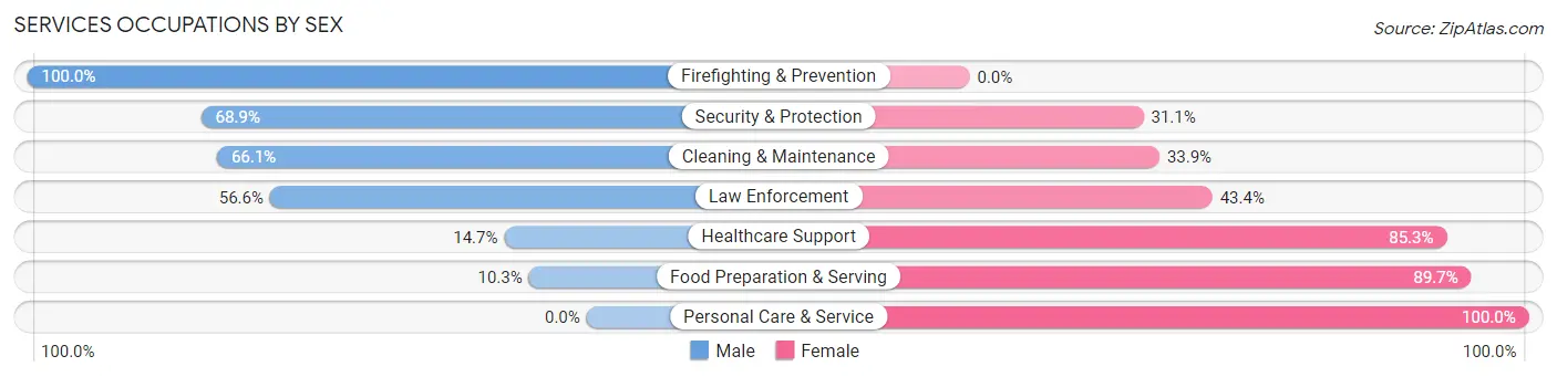 Services Occupations by Sex in Zip Code 49415
