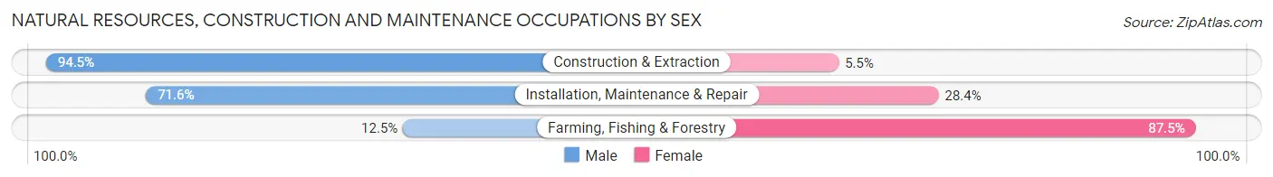 Natural Resources, Construction and Maintenance Occupations by Sex in Zip Code 49418