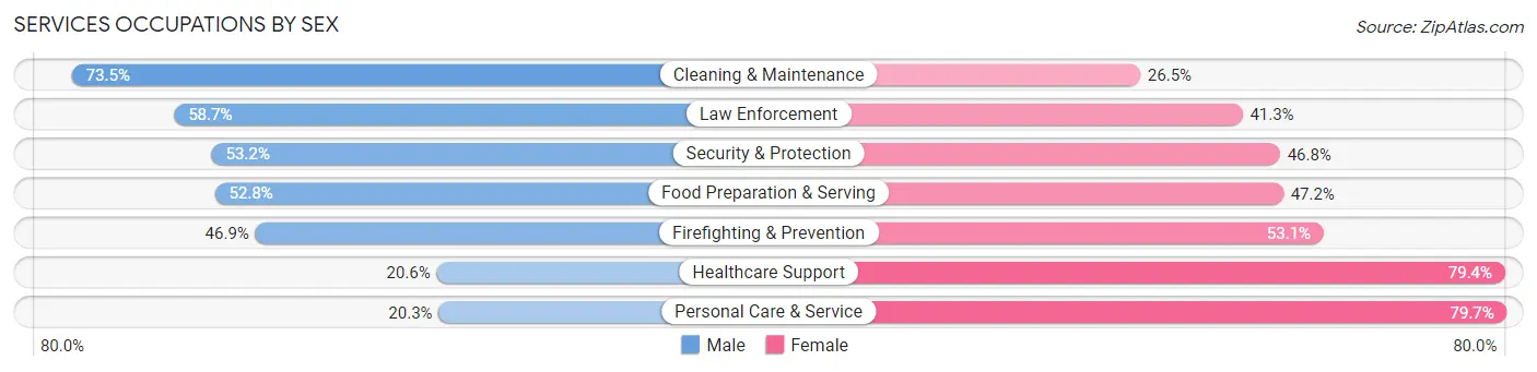 Services Occupations by Sex in Zip Code 49428