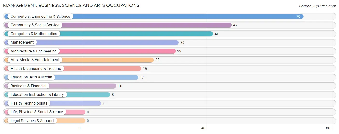 Management, Business, Science and Arts Occupations in Zip Code 49440