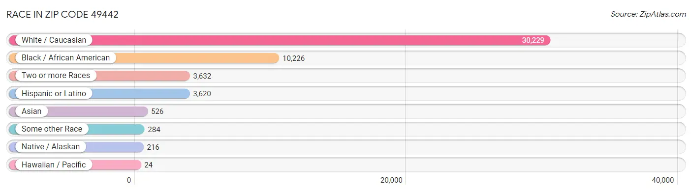 Race in Zip Code 49442
