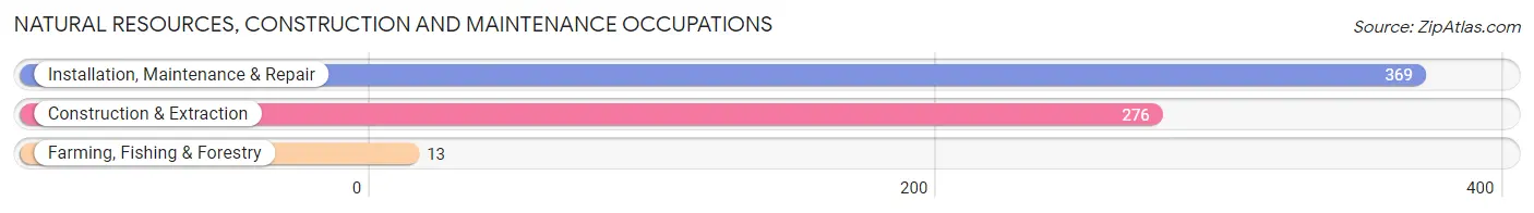 Natural Resources, Construction and Maintenance Occupations in Zip Code 49445