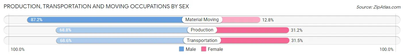 Production, Transportation and Moving Occupations by Sex in Zip Code 49451