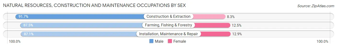 Natural Resources, Construction and Maintenance Occupations by Sex in Zip Code 49452