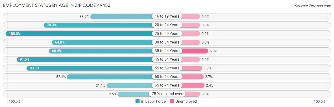 Employment Status by Age in Zip Code 49453