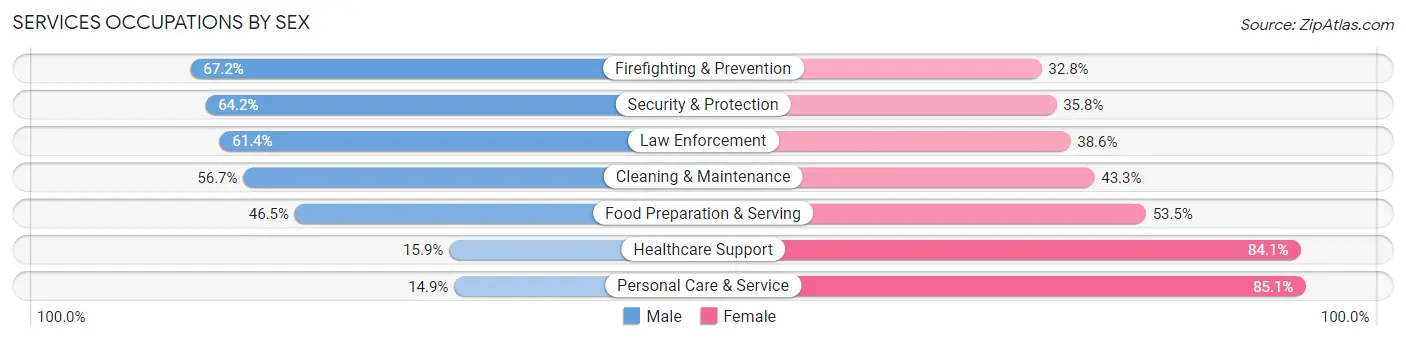 Services Occupations by Sex in Zip Code 49504