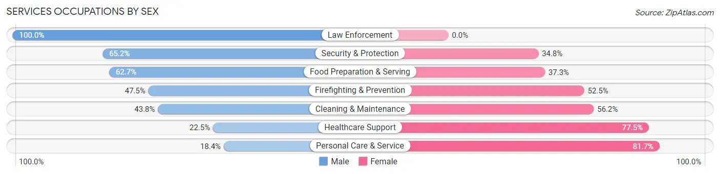 Services Occupations by Sex in Zip Code 49507