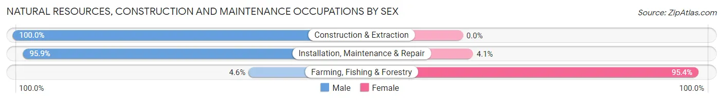 Natural Resources, Construction and Maintenance Occupations by Sex in Zip Code 49509