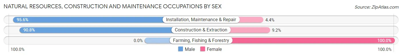Natural Resources, Construction and Maintenance Occupations by Sex in Zip Code 49546