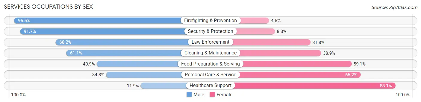 Services Occupations by Sex in Zip Code 49546