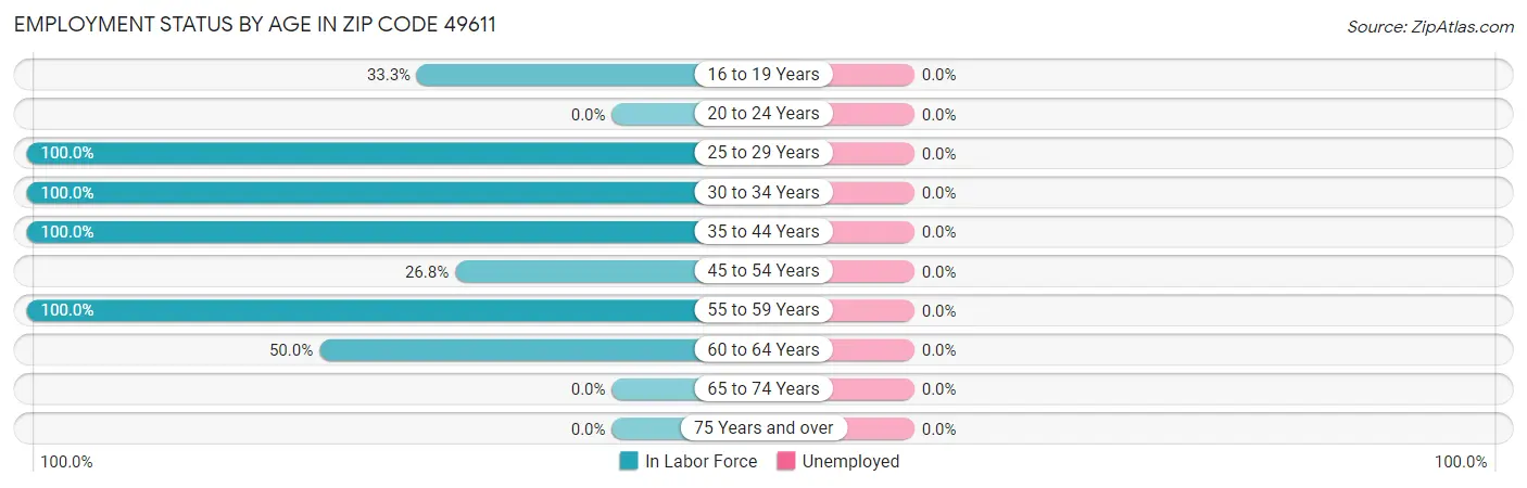 Employment Status by Age in Zip Code 49611
