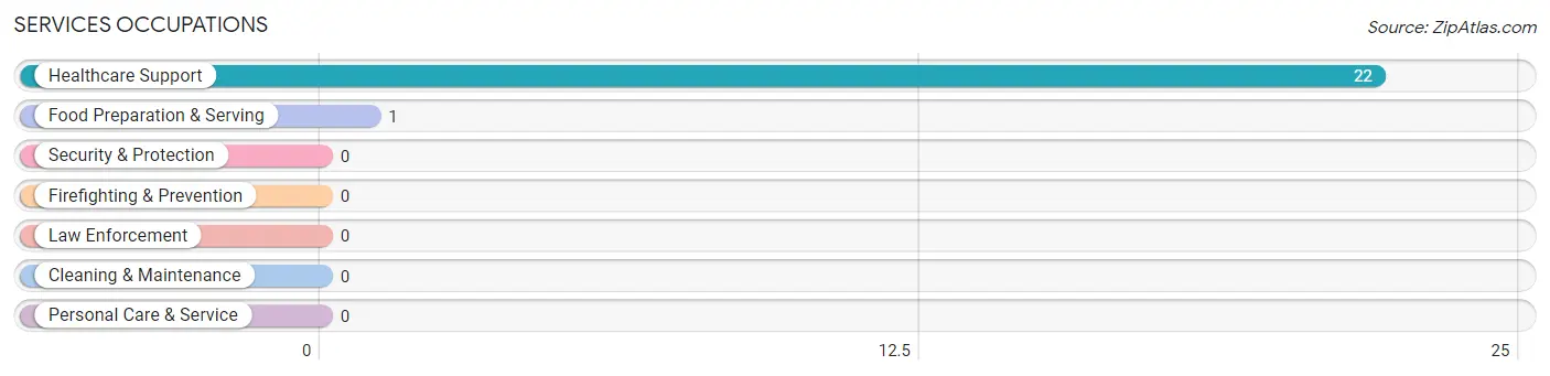 Services Occupations in Zip Code 49611